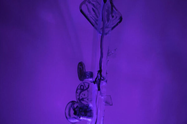 _MG_4991_modificato