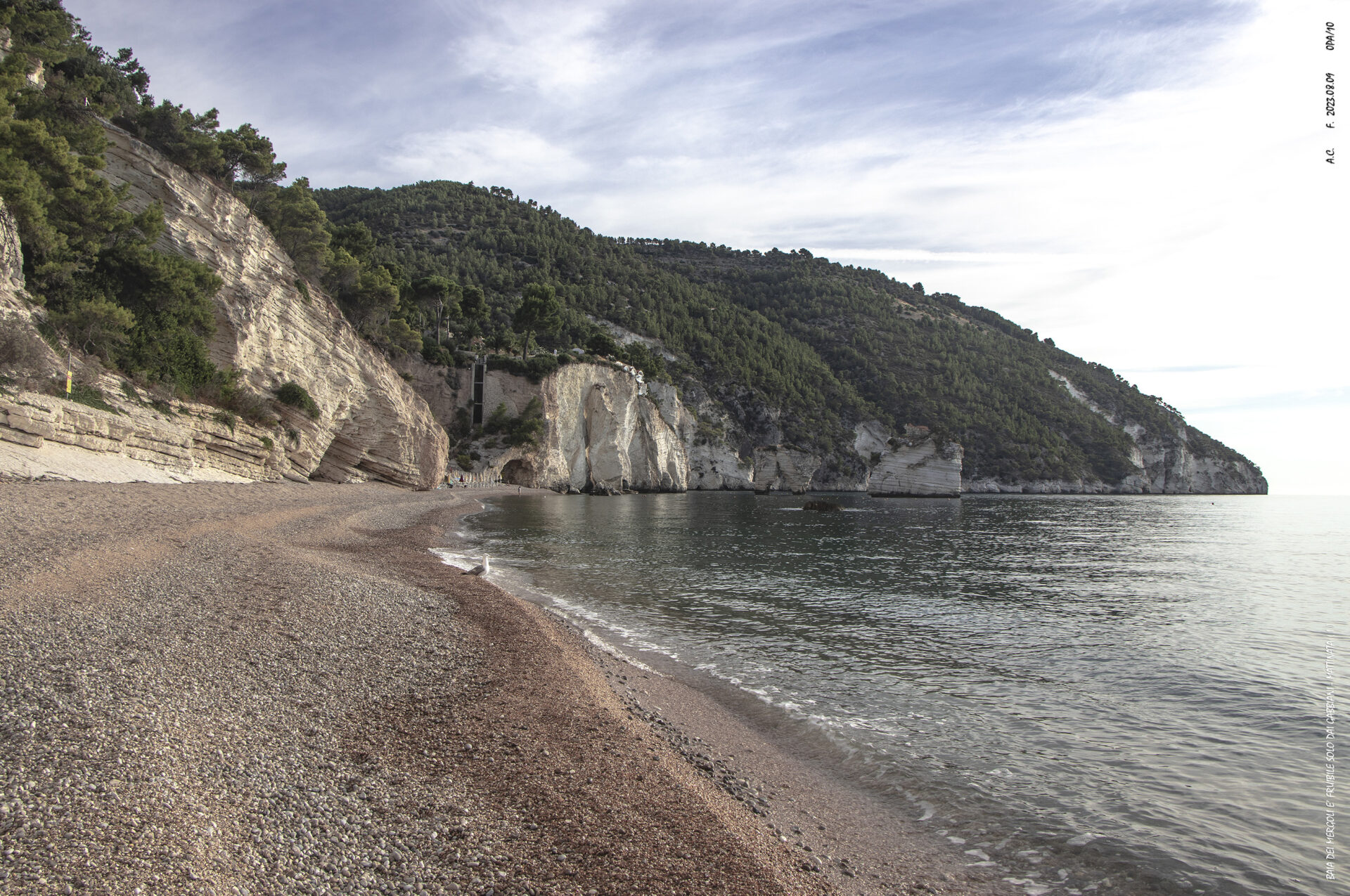 Baia dei Mergoli è fruibile solo dai gabbiani-Mattinata(I)-0PAs