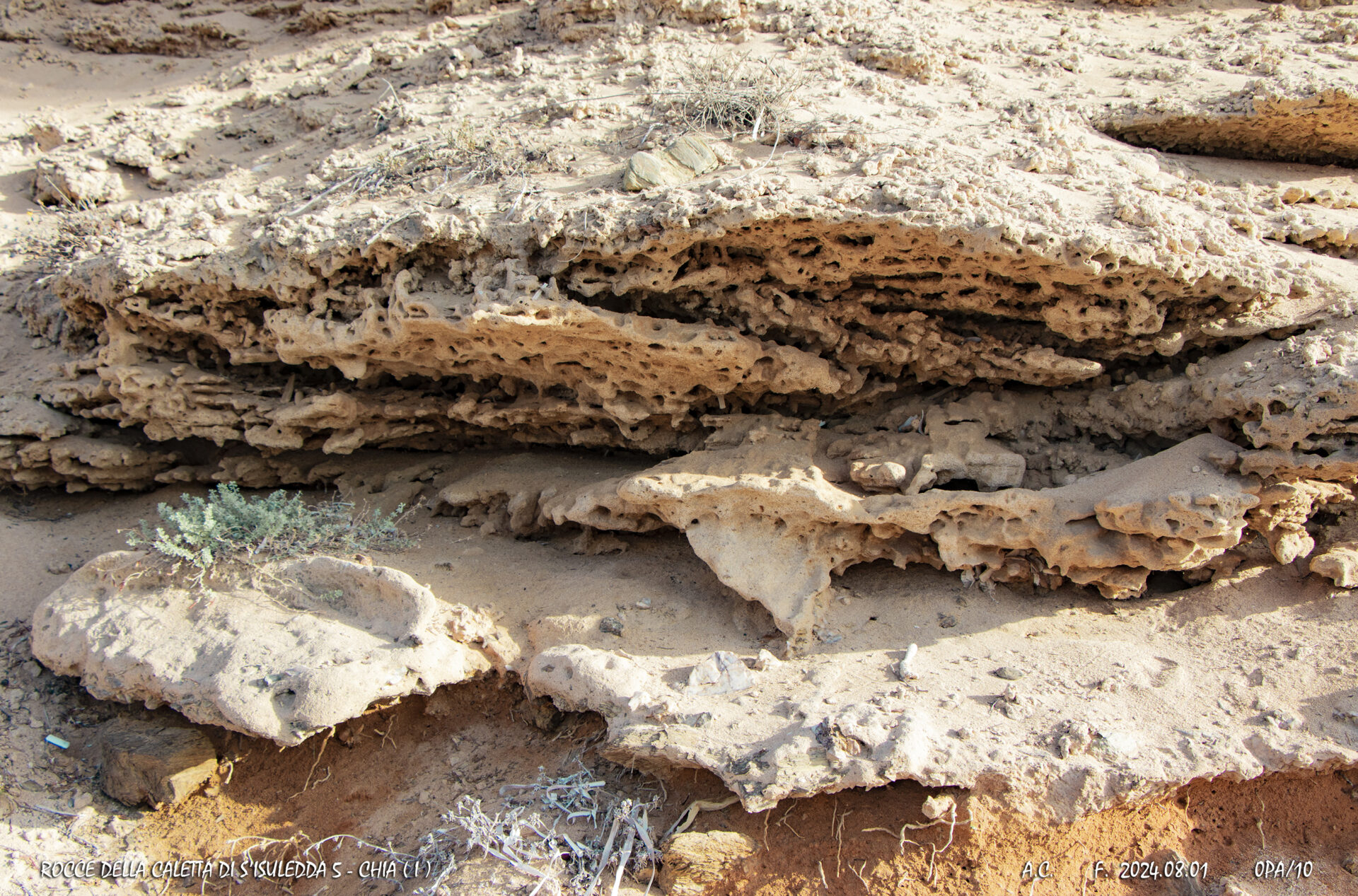 Rocce della caletta di S'isuledda5-Chia(I)-0PAs